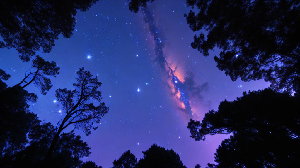 Starry Night Sky with Milky Way Through Tall Trees