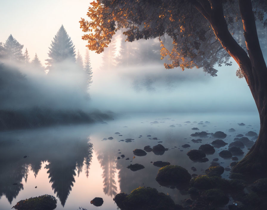 Misty River Scene with Trees, Rocks, and Moss