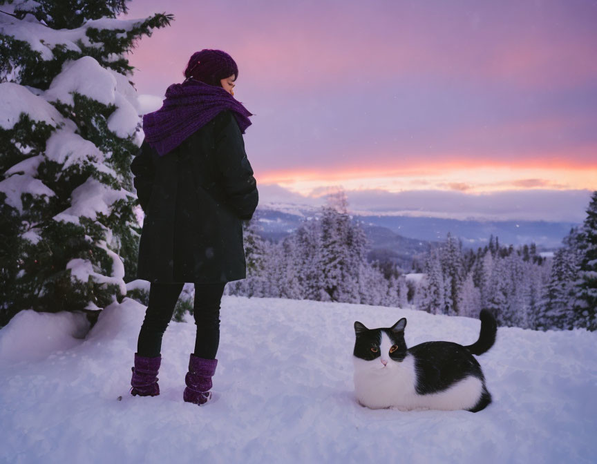 Person and black & white cat in snowy landscape with trees and pink sunset.