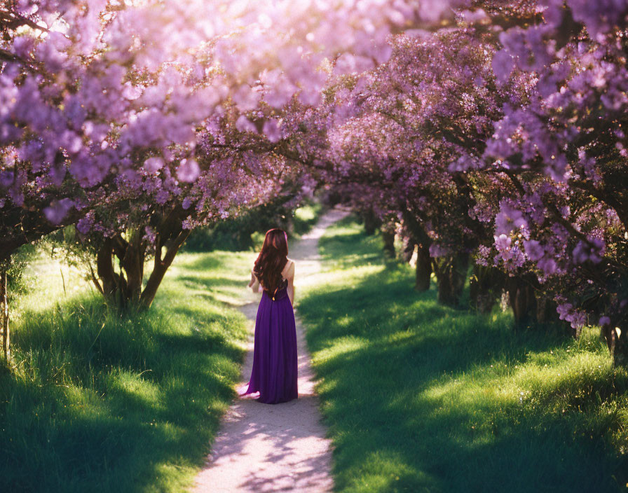 Woman in Purple Dress Surrounded by Pink Blossoms on Tree-Lined Path