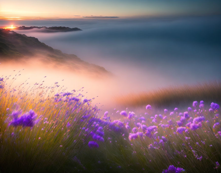 Purple Wildflowers in Misty Golden Sunrise Over Rolling Hills