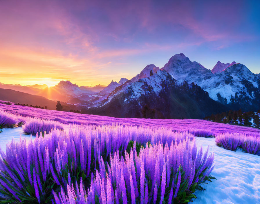 Vibrant sunset over snowy mountains with glowing purple flowers.