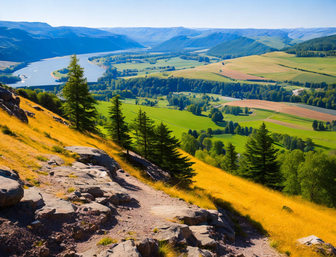 Picturesque hillside trail with yellow wildflowers, river valley, fields, forests, and rolling hills