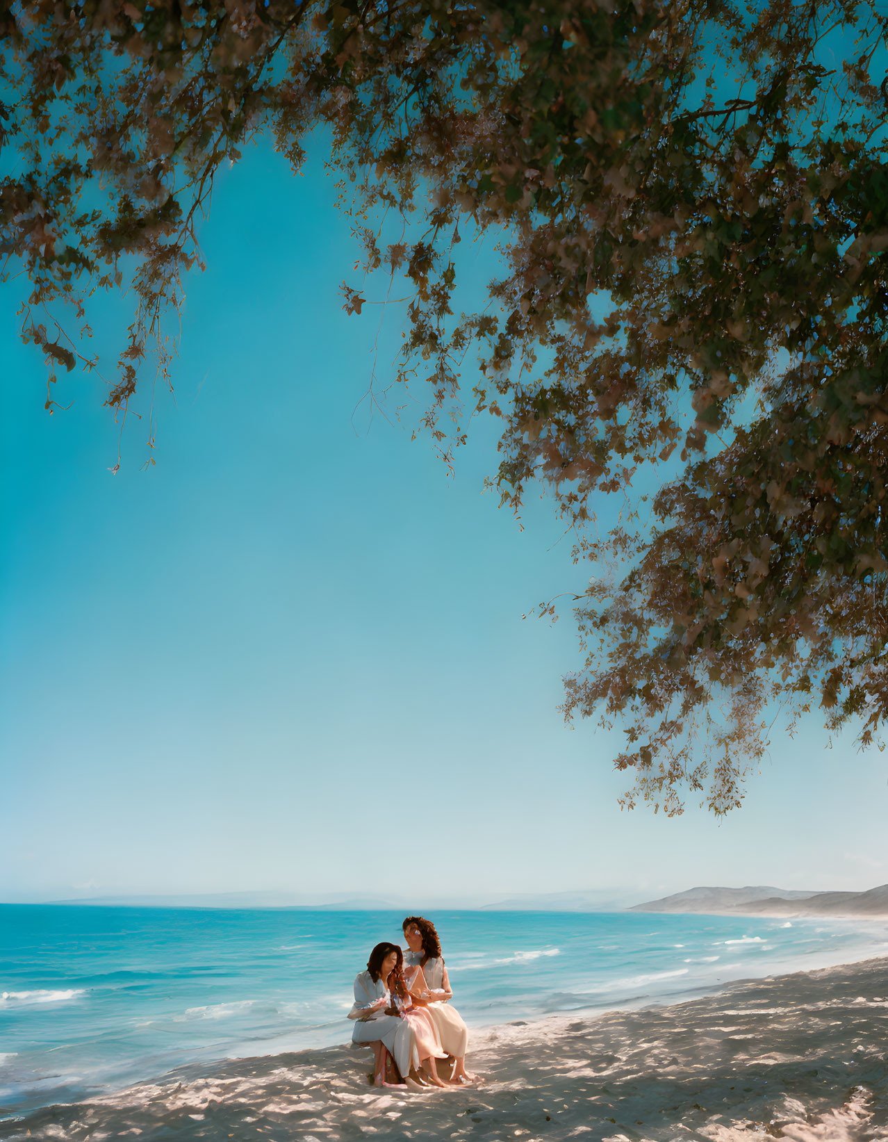 Tranquil beach scene with two people under overhanging branches