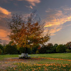 Golden tree, bench, yellow flowers in whimsical landscape under dramatic sky