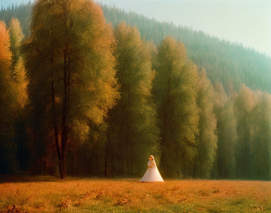 Person in white dress standing in sunlit meadow with tall trees