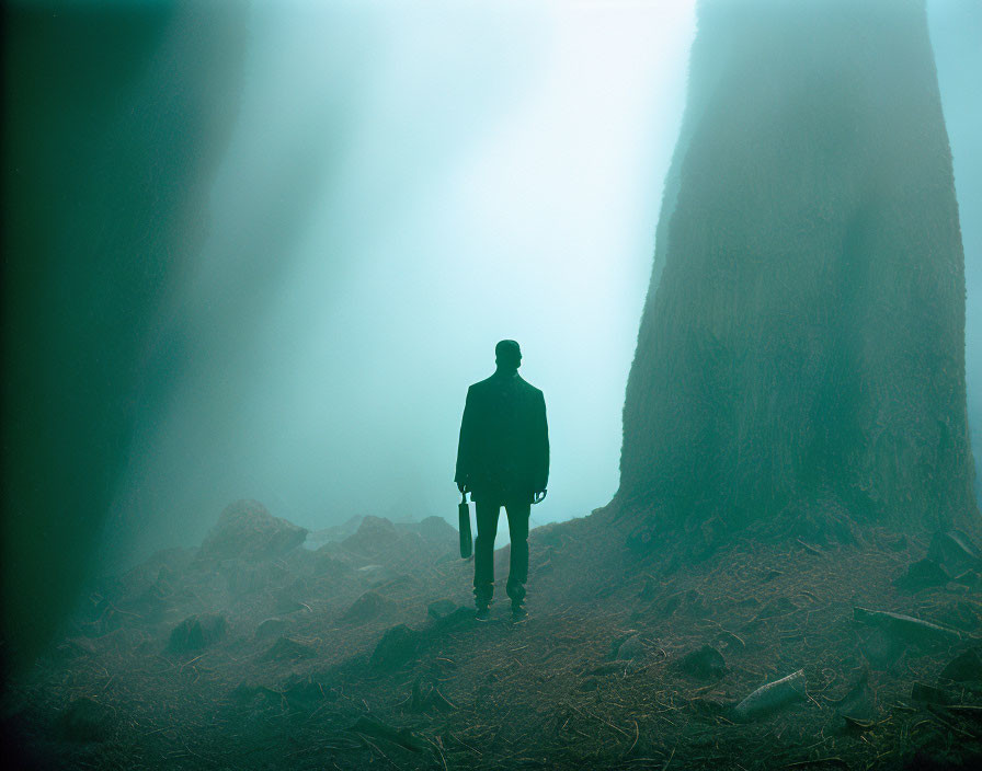 Misty forest scene with silhouetted figure and sunbeams