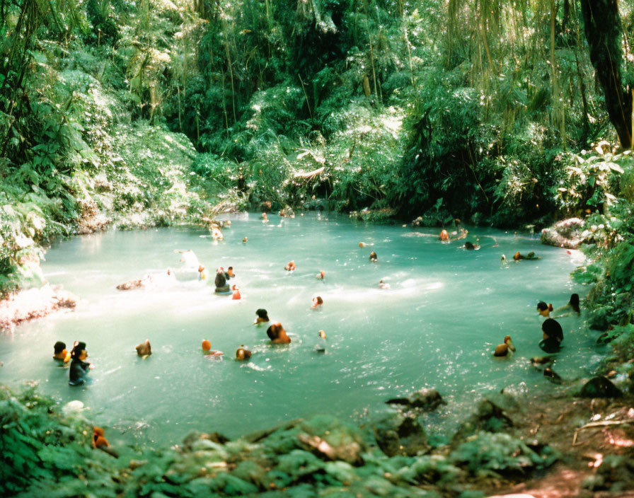 Group of People Swimming in Serene Forest Pond