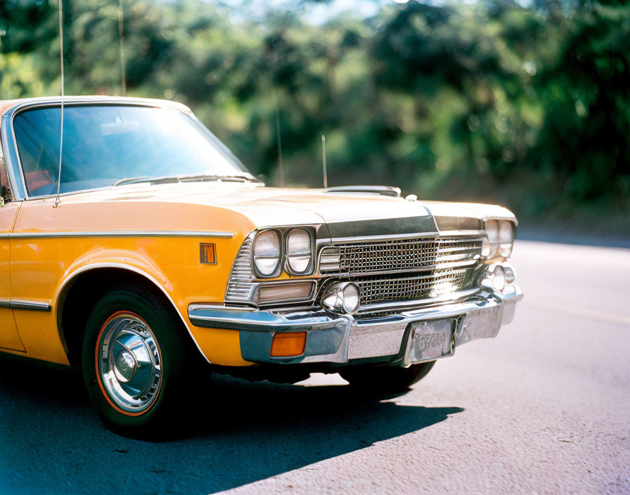 Vintage Yellow Car with Chrome Accents in Greenery and Sunlight