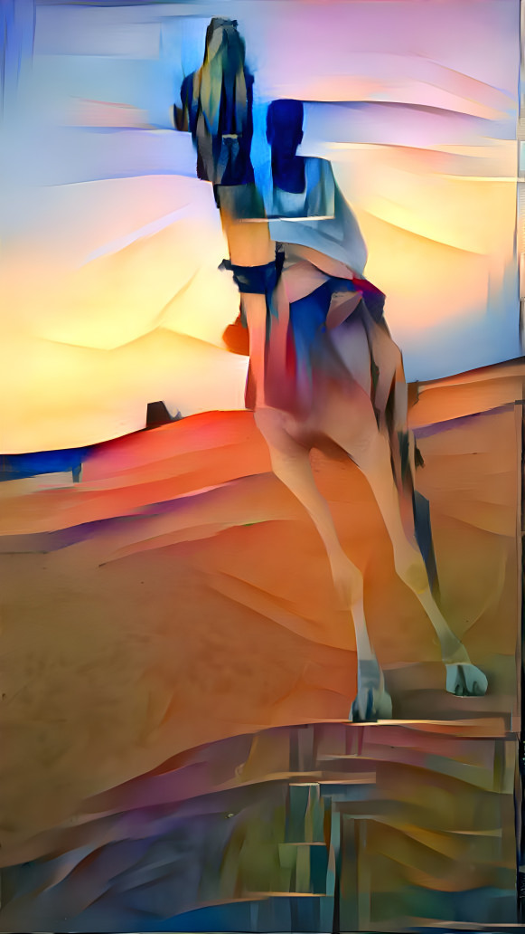 Camel in the desert