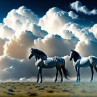 Two horses in desert with dramatic sky.