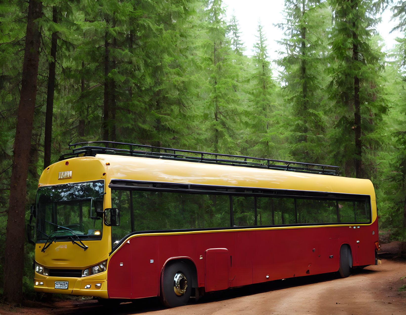 Yellow and Red Bus Parked in Forest with Tall Pine Trees