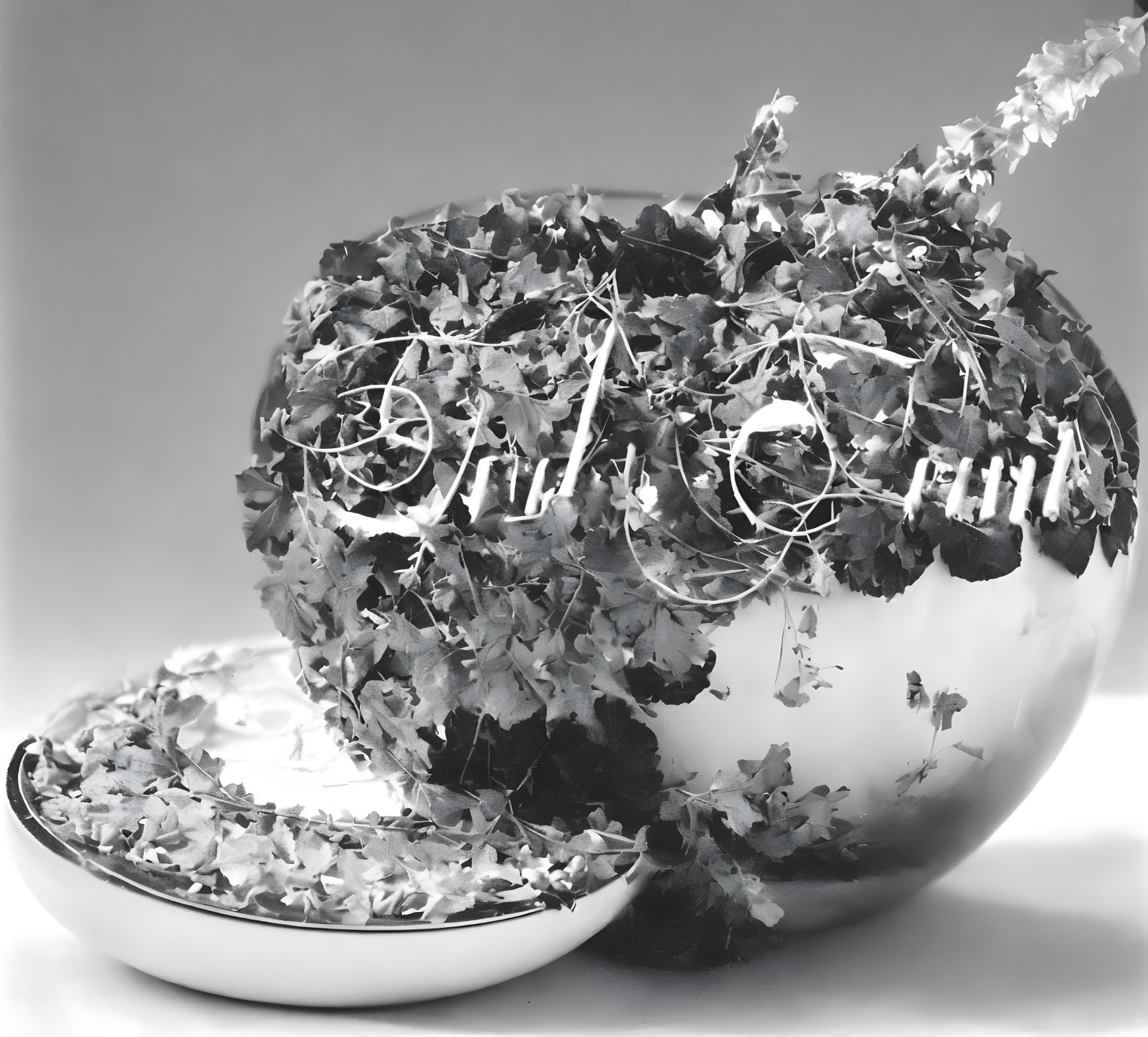 Monochrome image of broken Christmas ornament with "Fragile" inscription