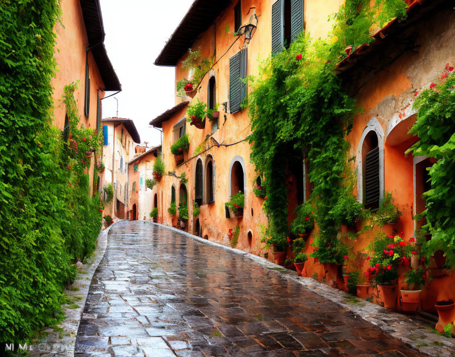 Traditional cobblestone street with orange buildings and green plants under cloudy sky