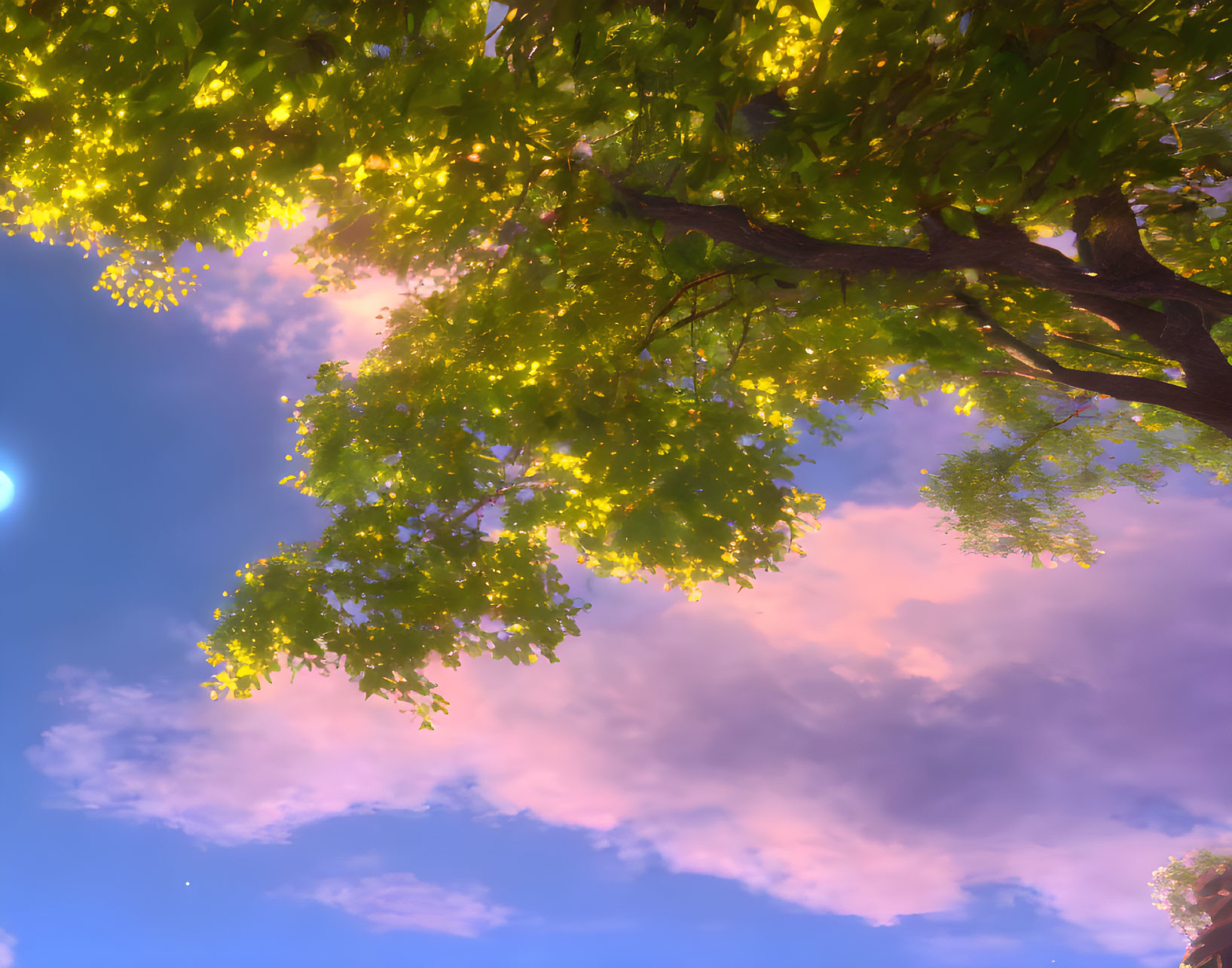 Tranquil Dusk Scene: Lush Tree Leaves Against Pink and Lavender Sky