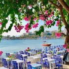 Scenic beachside café with blue and white chairs under pink blossomed tree overlooking sandy beach and turquoise