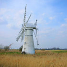 Rural landscape with windmills, flowers, fence, and birds