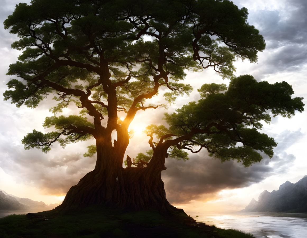 Majestic tree with broad trunk and dense canopy by river under dramatic sky