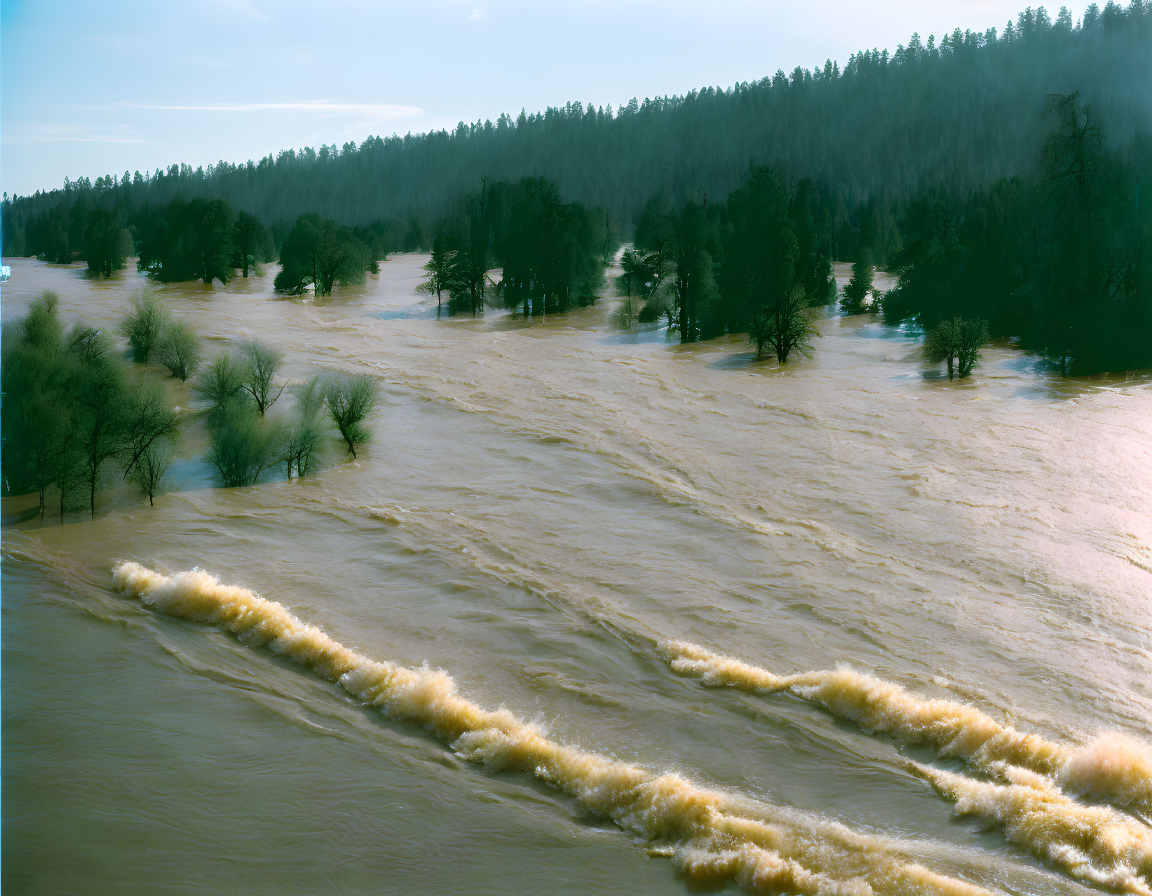 Swollen muddy river overflowing into tree-covered area under cloudy sky