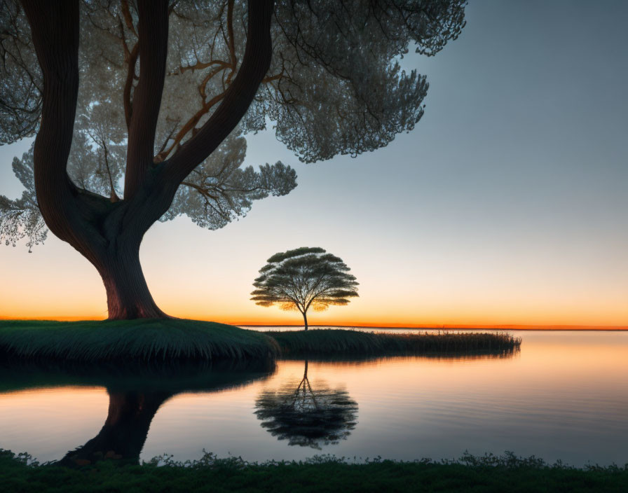 Tranquil sunset with tree silhouette reflected in water on orange sky.