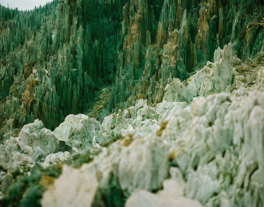 Jagged white rocks in rugged landscape with green pine forest under overcast sky