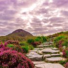 Serene Landscape with Hut and Vibrant Flowers