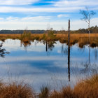 Scenic lake with mirrored pine trees at sunrise or sunset