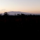 Silhouette of trees and mountains against pastel dusk sky