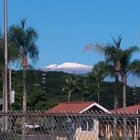 Tropical landscape with greenery, colorful flora, and snow-capped mountains.