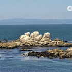 Stylized landscape artwork of rolling hills, trees, rocks, sea, sailboats, and l