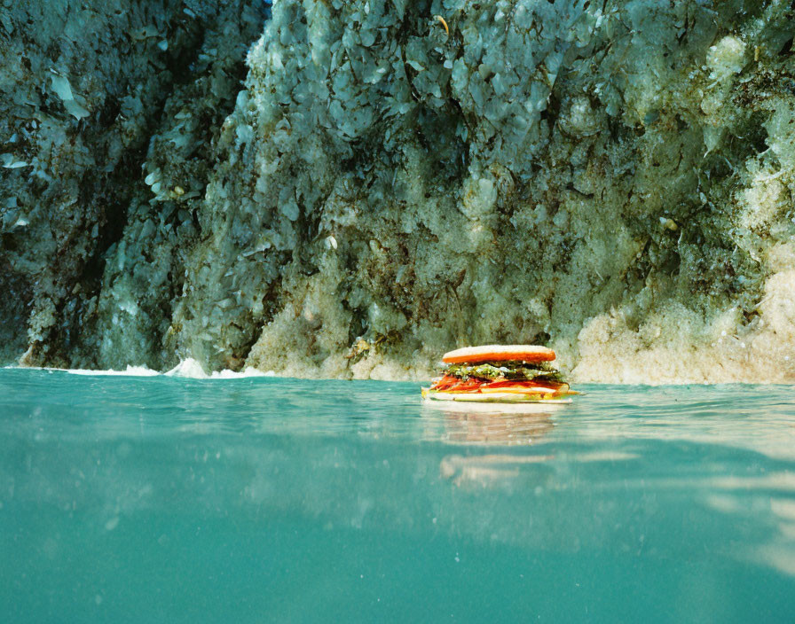 Sandwich Floating on Water with Icy Rock Formation