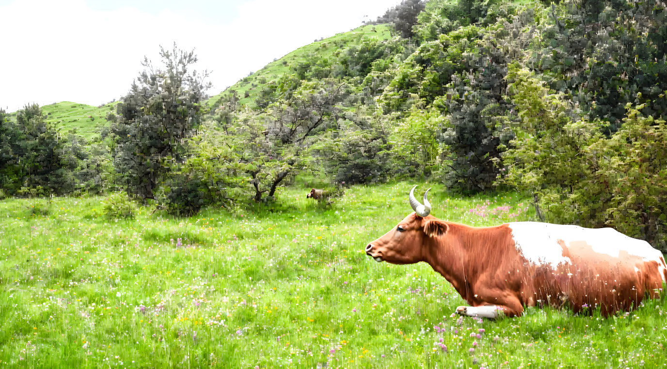 Brown and white cow in vibrant meadow with flowers and green hills