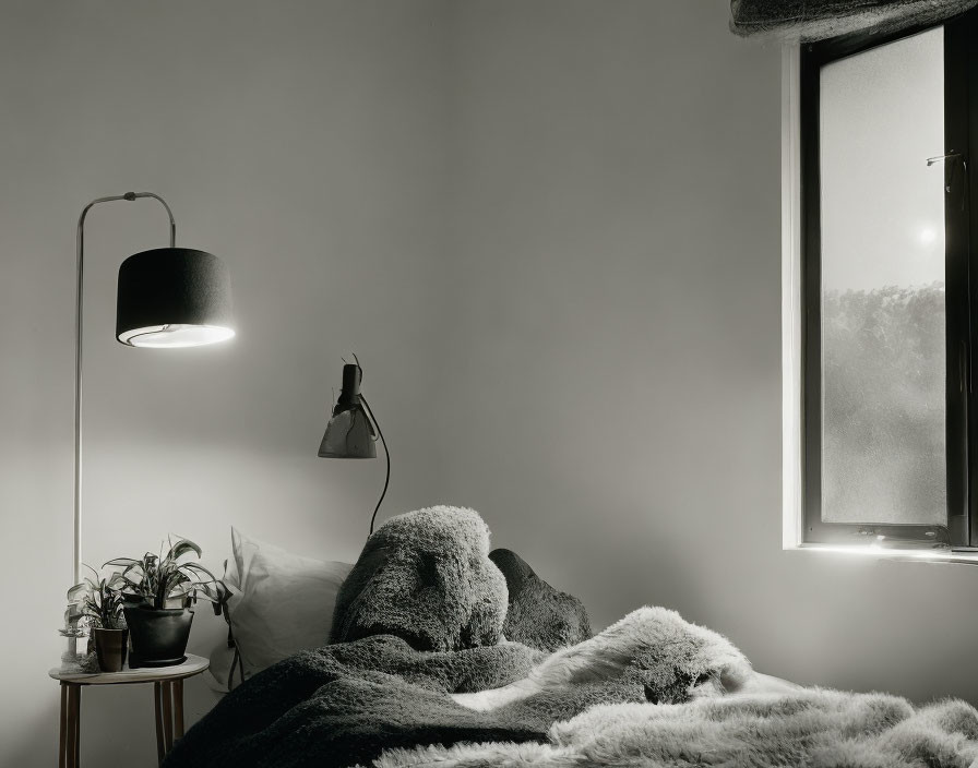 Dimly Lit Room with Floor Lamp, Unmade Bed, Plants on Side Table