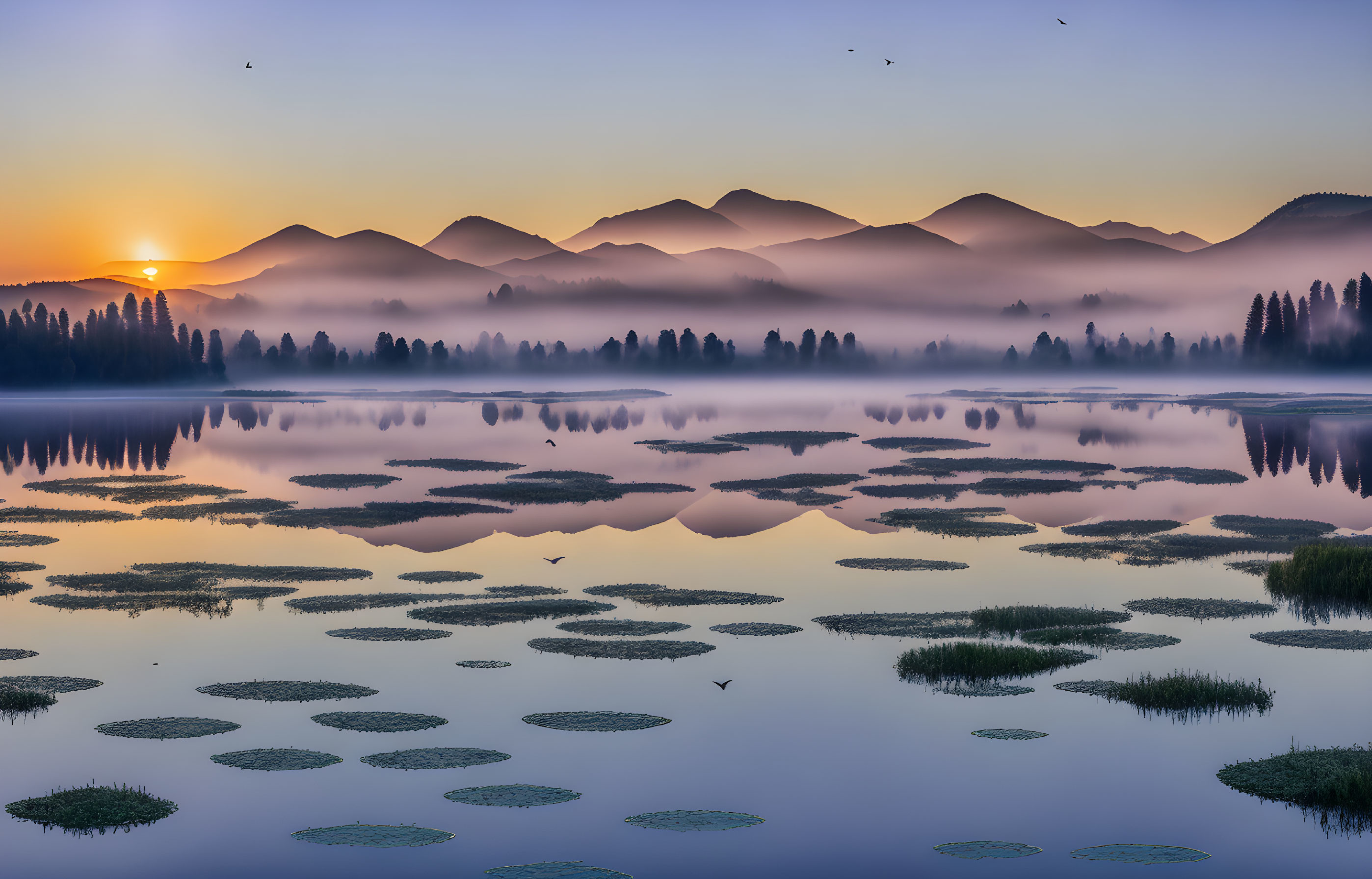 Tranquil lake sunrise with mist, water lilies, and mountain backdrop