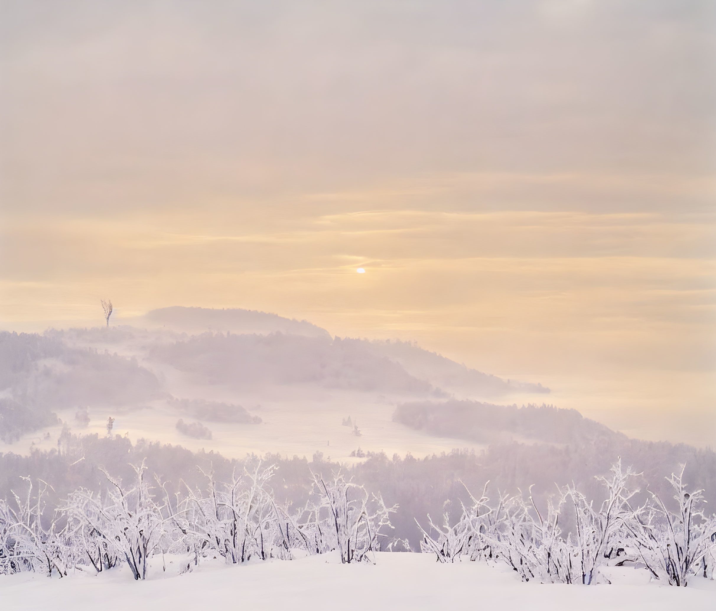 Snowy landscape with rolling hills and frosted trees at sunrise