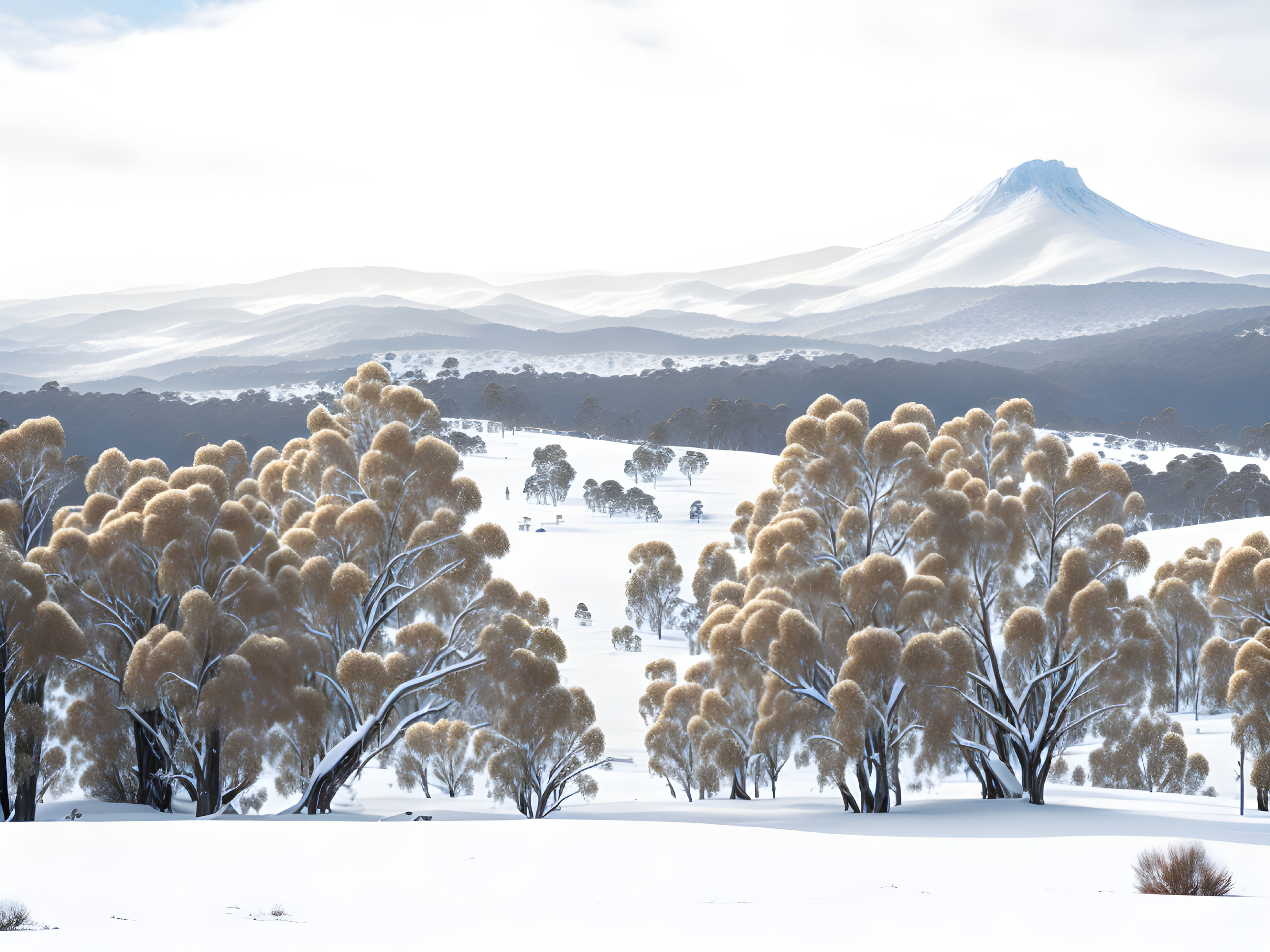 Winter Scene: Frosted Trees, Mountain, and Cloudy Sky