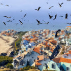 Vibrant seaside village with birds, clear skies, and beach scenery