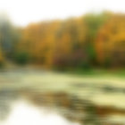 Scenic Mountain Lake with Yellow Trees and Clear Sky