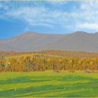 Green and yellow fields on misty rolling hills under cloudy sky