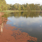 Tranquil autumn lake with colorful trees and gentle hills