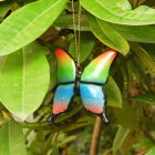 Vibrant orange and black butterflies on green foliage with soft-focus background