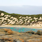 Tranquil Coastal Landscape with Sand Dunes and Flowers