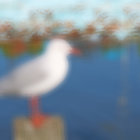 Seagull perched on post by sea with boats in soft focus