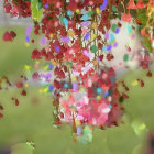 Colorful Pink and Purple Flowers in Full Bloom with Lush Greenery and Botanical Background