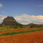 Lush mountain backdrop with rolling hills, trees, and sunlit field