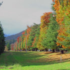 Tranquil village landscape with cottages, lake, forests, and mountains