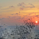 Scenic sunset with colorful flora and birds over calm sea