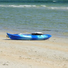 Colorful boats on sandy shore with flowers near clear waters and green foliage