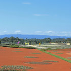 Vibrant orange desert landscape with towering rock formations