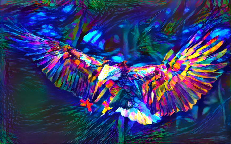 Rainbow bird